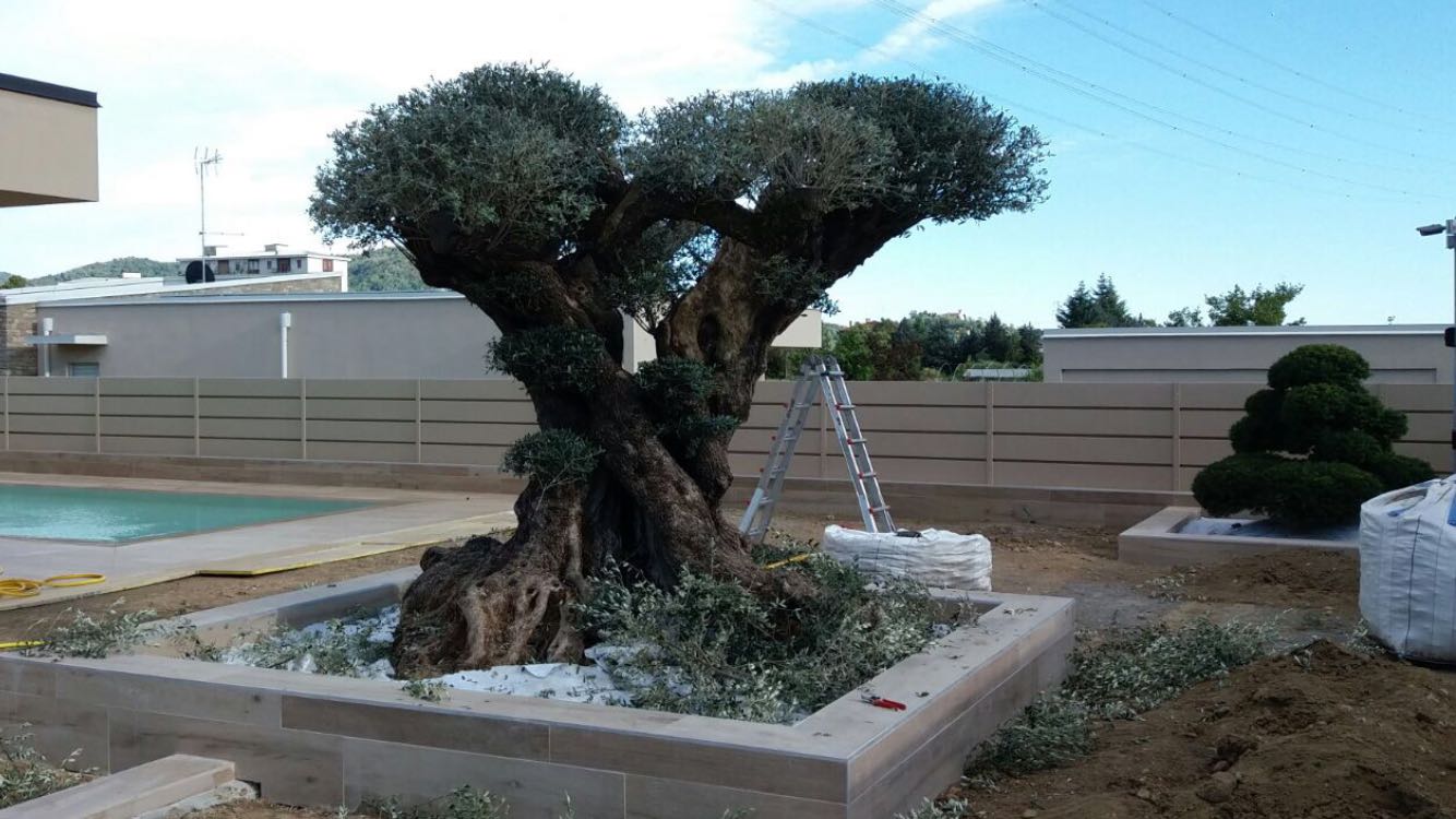 PROGETTAZIONE GIARDINI3